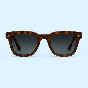 Supa Nova Polished Havanna