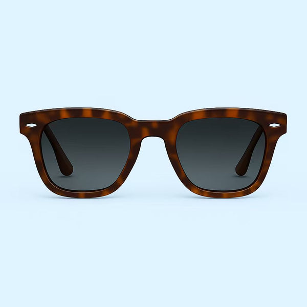 Supa Nova Polished Havanna